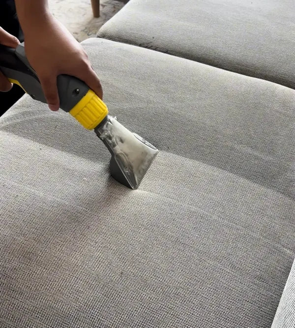 Couch cleaning
